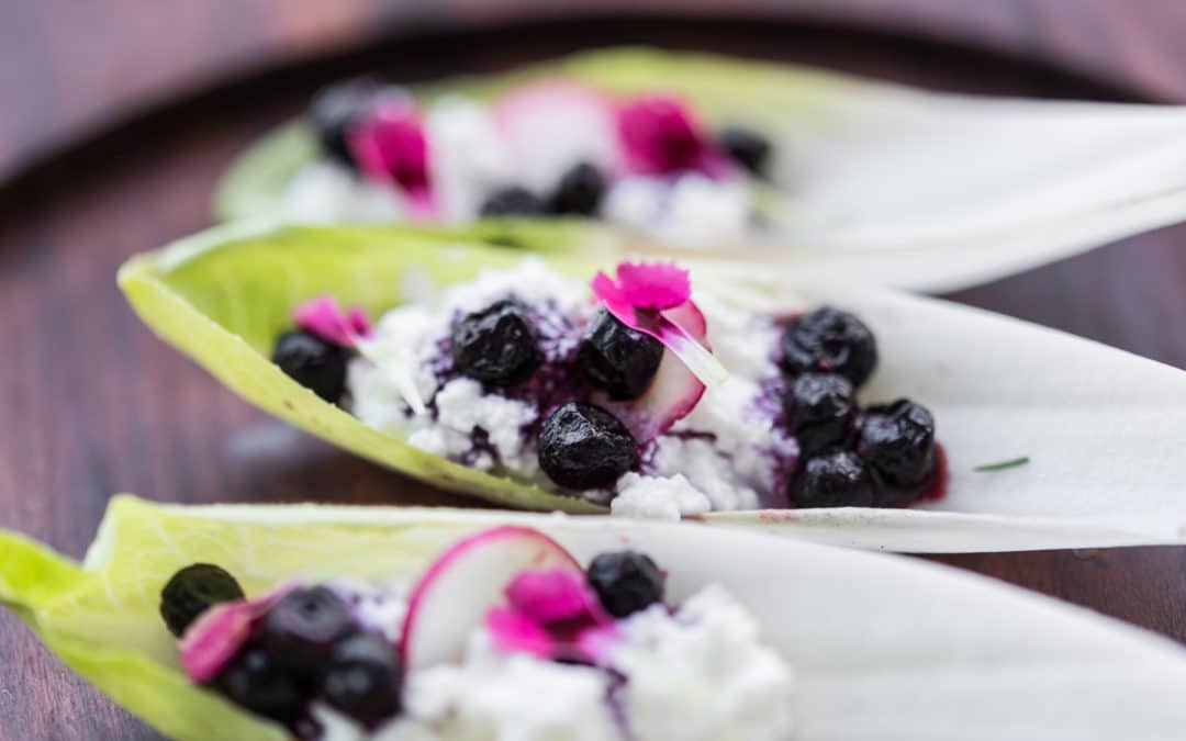 Chicory with Irkotta and Blueberry